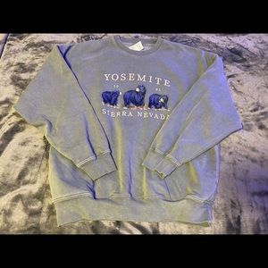 NWT Rare Seafoam green Yosemite sweatshirt